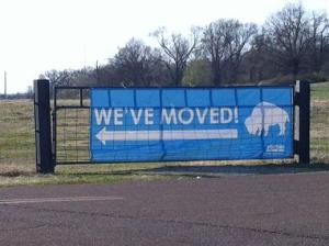buffalo have moved shelby farms